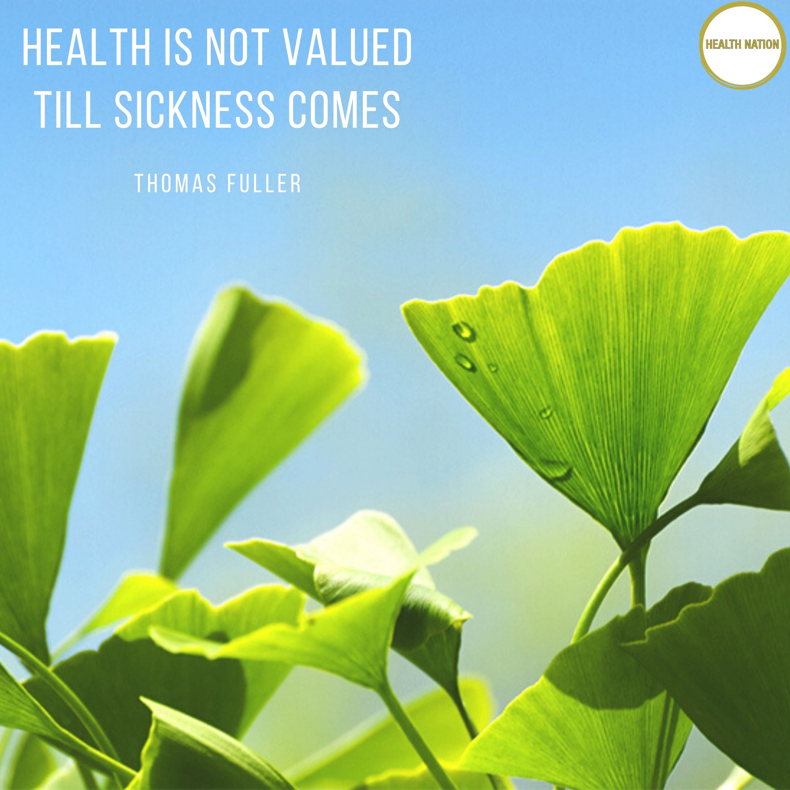 Ginkgo Biloba B+ | Helps with Mental Clarity, Focus, Mood, Energy, Anti-Ageing and Eye Health | Made in UK | 2000mg 90 Capsules - Health Nation