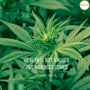 Hemp Oil Drops 5% | Full Spectrum Raw Extract | Helps with Pain, Anxiety, Stress and Mood | EU Organic Grown | Made in UK | Tested by a UK 3rd Party Lab to prove Purity and Potency - Health Nation